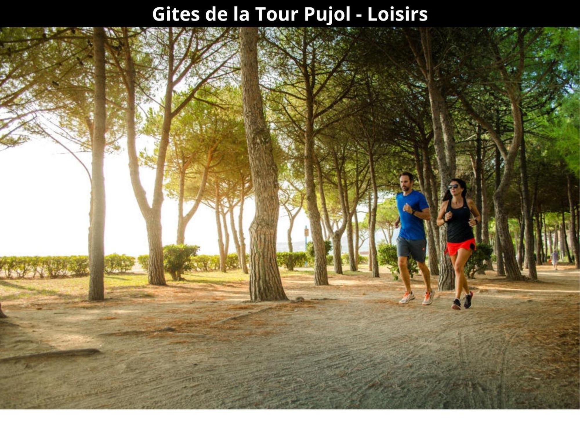 Les Gites De La Tour Pujol Argeles-sur-Mer Exterior photo