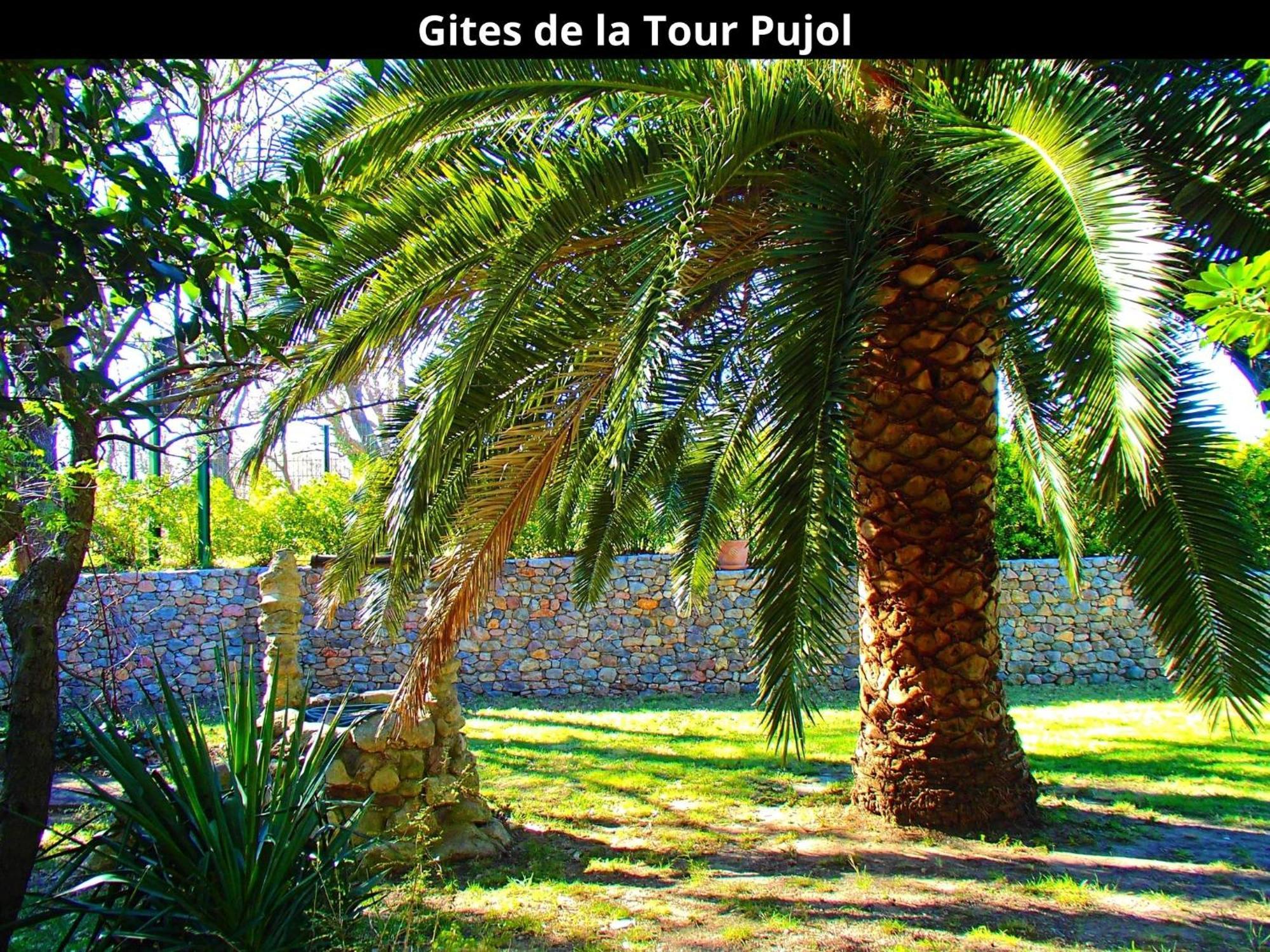 Les Gites De La Tour Pujol Argeles-sur-Mer Exterior photo